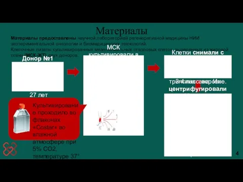 Материалы Материалы предоставлены научной лабораторией регенеративной медицины НИИ экспериментальной онкологии и