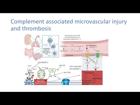 Complement associated microvascular injury and thrombosis