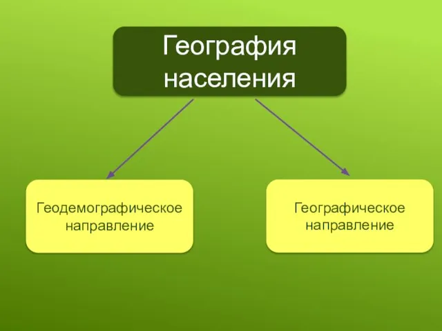 География населения Геодемографическое направление Географическое направление