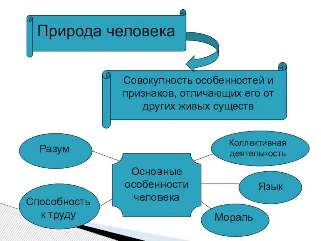 Природа человека Совокупность особенностей и признаков, отличающих его от других живых