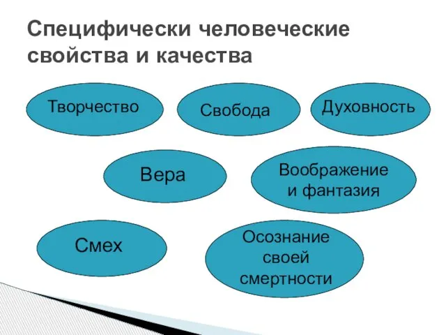 Специфически человеческие свойства и качества Творчество Свобода Духовность Вера Воображение и фантазия Смех Осознание своей смертности