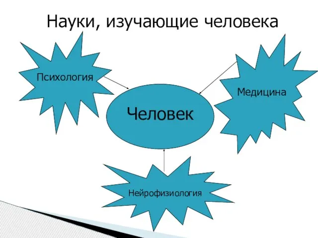 Науки, изучающие человека Человек Психология Медицина Нейрофизиология