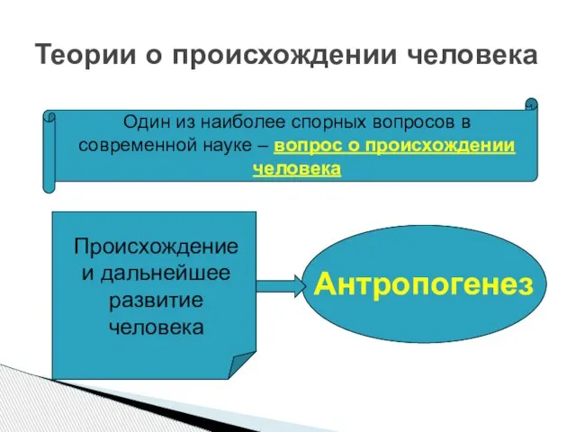 Теории о происхождении человека Один из наиболее спорных вопросов в современной