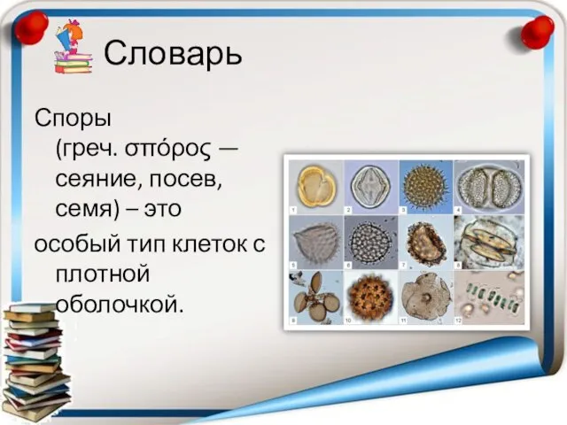 Словарь Споры (греч. σπόρος — сеяние, посев, семя) – это особый тип клеток с плотной оболочкой.