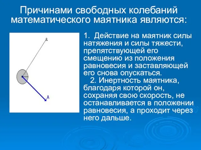 1. Действие на маятник силы натяжения и силы тяжести, препятствующей его