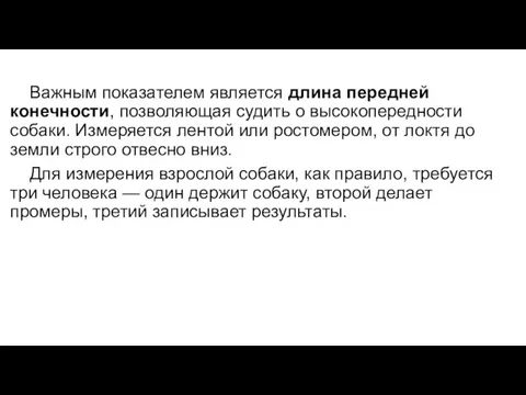 Важным показателем является длина передней конечности, позволяющая судить о высокопередности собаки.