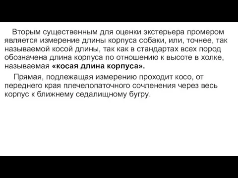 Вторым существенным для оценки экстерьера промером является измерение длины корпуса собаки,