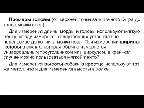 Промеры головы (от верхней точки затылочного бугра до конца мочки носа).