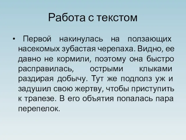 Работа с текстом Первой накинулась на ползающих насекомых зубастая черепаха. Видно,