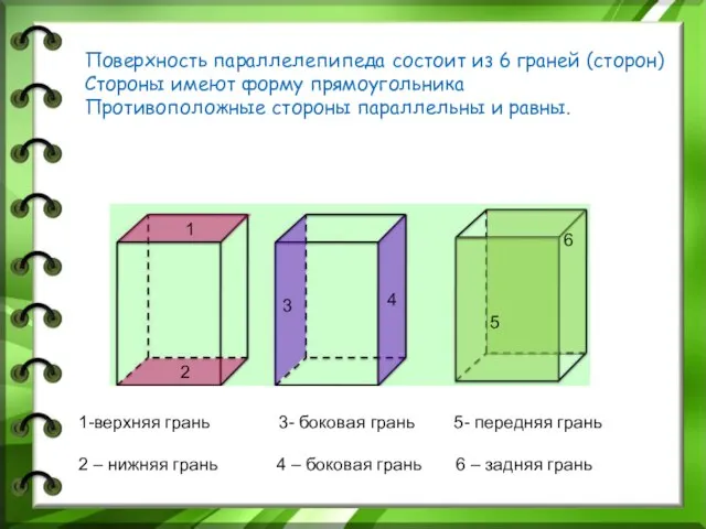 Поверхность параллелепипеда состоит из 6 граней (сторон) Стороны имеют форму прямоугольника