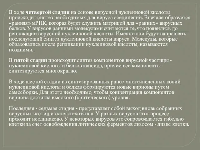 В ходе четвертой стадии на основе вирусной нуклеиновой кислоты происходит синтез