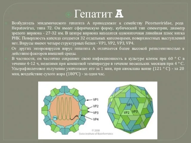 Гепатит A Возбудитель эпидемического гепатита А принадлежат к семейству Picornaviridae, рода