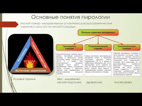 Основные понятия пирологии Лесной пожар- неуправляемое (стихийное) распространение огня (горения) в