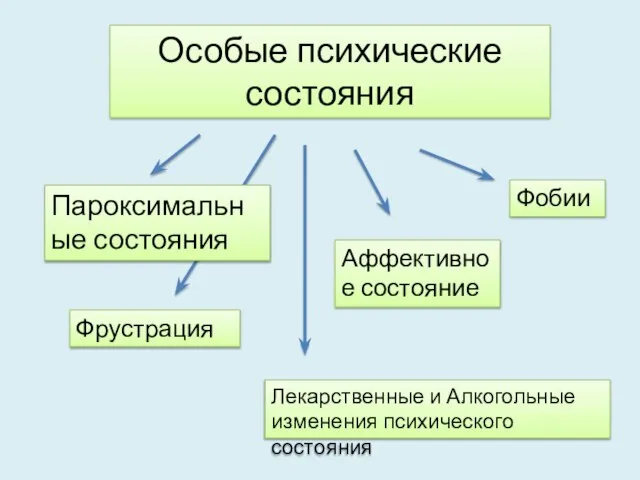 Особые психические состояния Фрустрация Аффективное состояние Фобии Лекарственные и Алкогольные изменения психического состояния Пароксимальные состояния