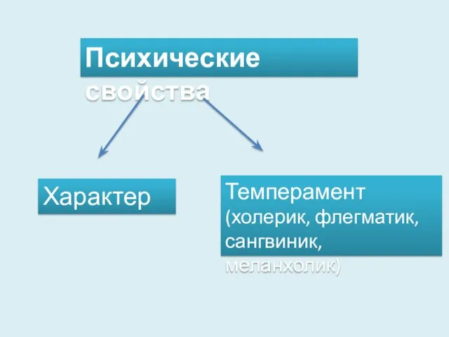 Психические свойства Характер Темперамент (холерик, флегматик, сангвиник, меланхолик)