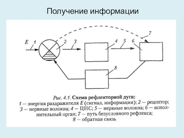 Получение информации