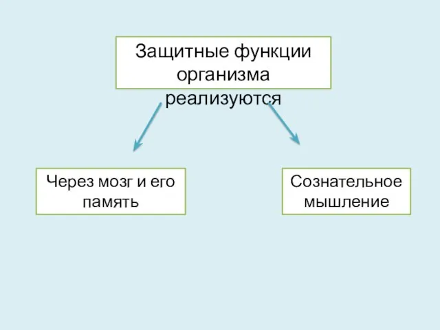 Защитные функции организма реализуются Через мозг и его память Сознательное мышление