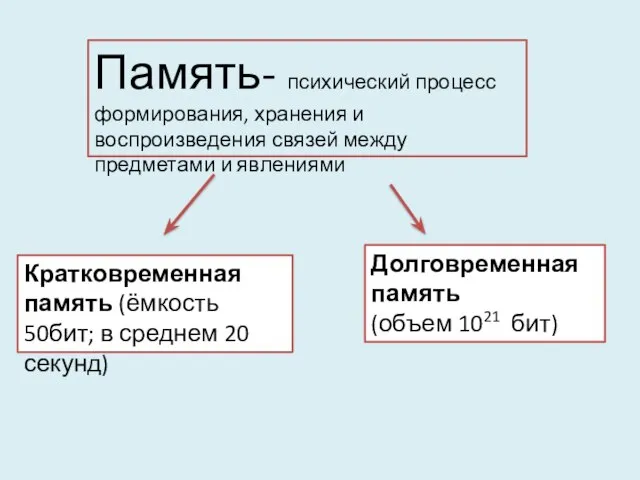 Кратковременная память (ёмкость 50бит; в среднем 20 секунд) Долговременная память (объем