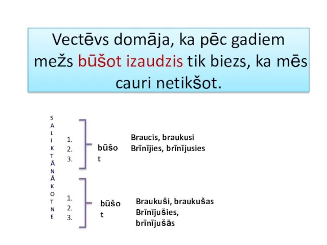 Vectēvs domāja, ka pēc gadiem mežs būšot izaudzis tik biezs, ka