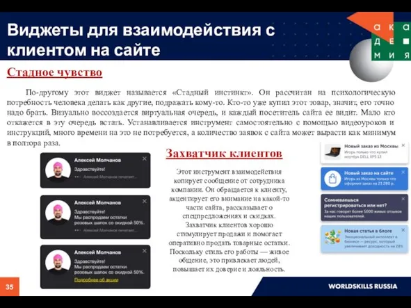 Виджеты для взаимодействия с клиентом на сайте Стадное чувство По-другому этот