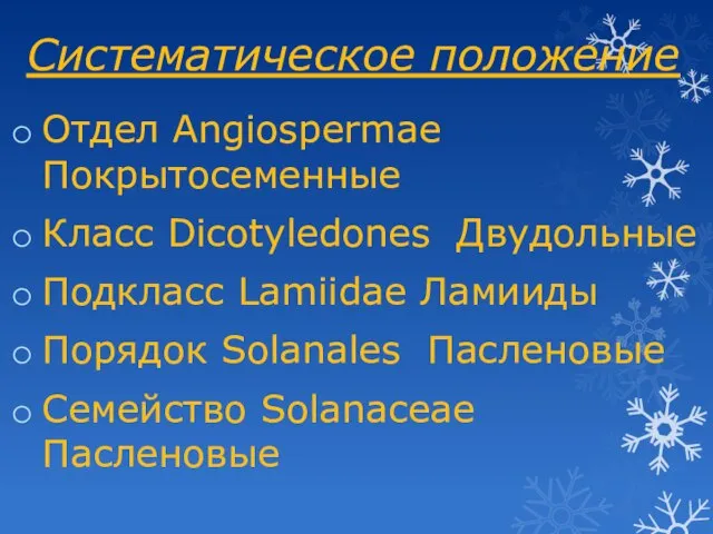 Систематическое положение Отдел Angiospermae Покрытосеменные Класс Dicotyledones Двудольные Подкласс Lamiidae Ламииды