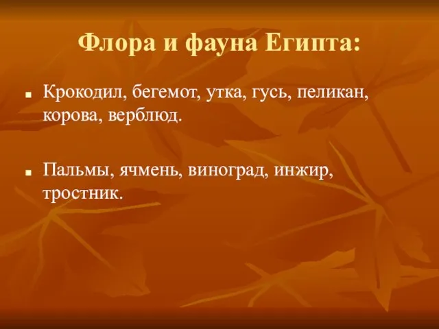 Флора и фауна Египта: Крокодил, бегемот, утка, гусь, пеликан, корова, верблюд. Пальмы, ячмень, виноград, инжир, тростник.