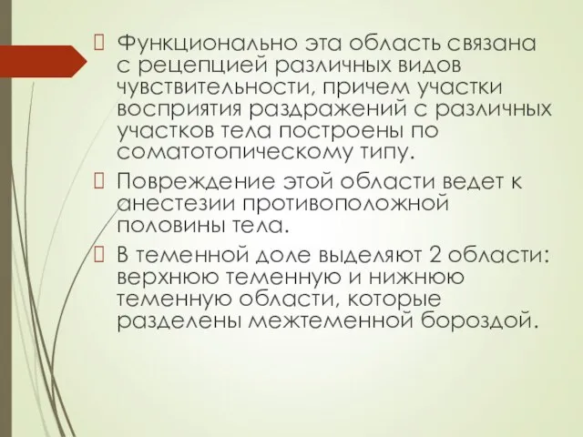 Функционально эта область связана с рецепцией различных видов чувствительности, причем участки