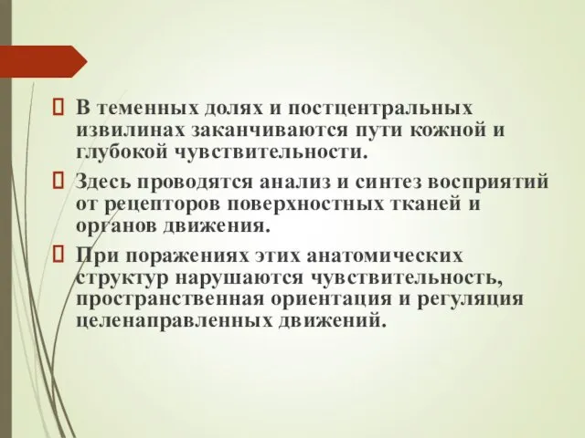 В теменных долях и постцентральных извилинах заканчиваются пути кожной и глубокой