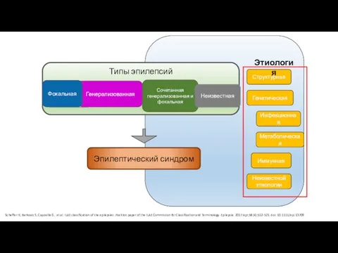 Scheffer IE, Berkovic S, Capovilla G, et al. ILAE classification of