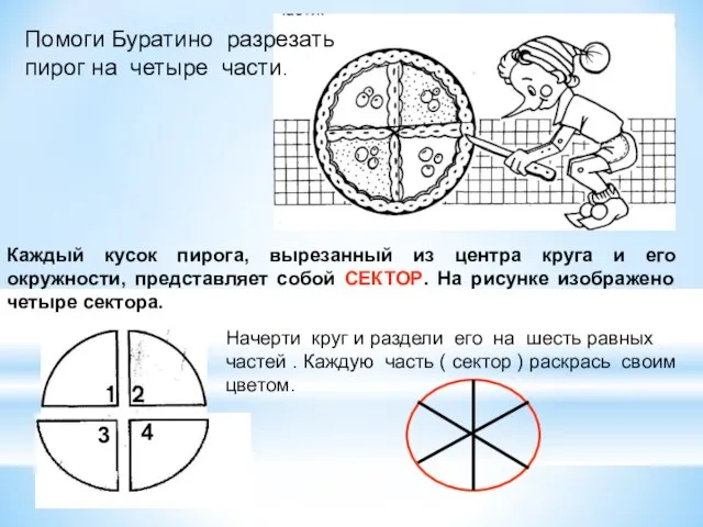 Каждый кусок пирога, вырезанный из центра круга и его окружности, представляет