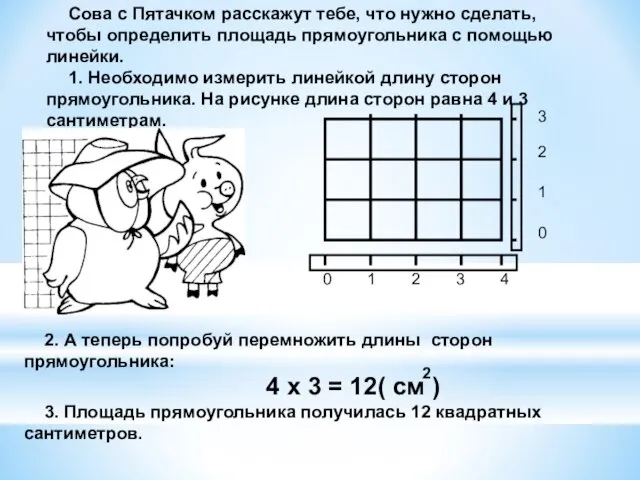 Сова с Пятачком расскажут тебе, что нужно сделать, чтобы определить площадь