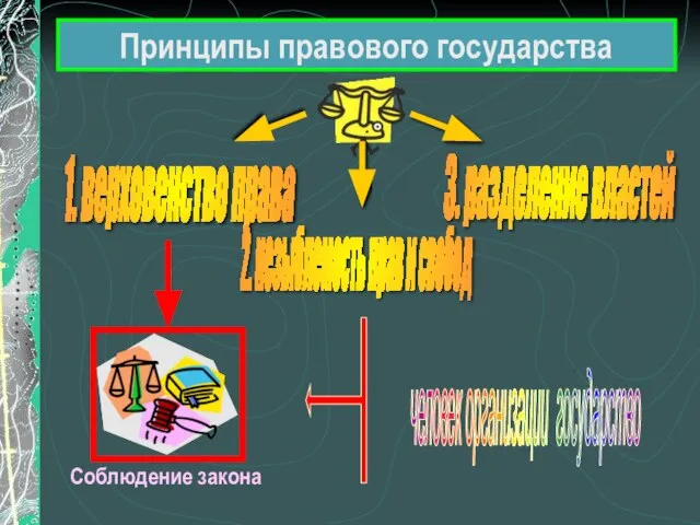 Принципы правового государства