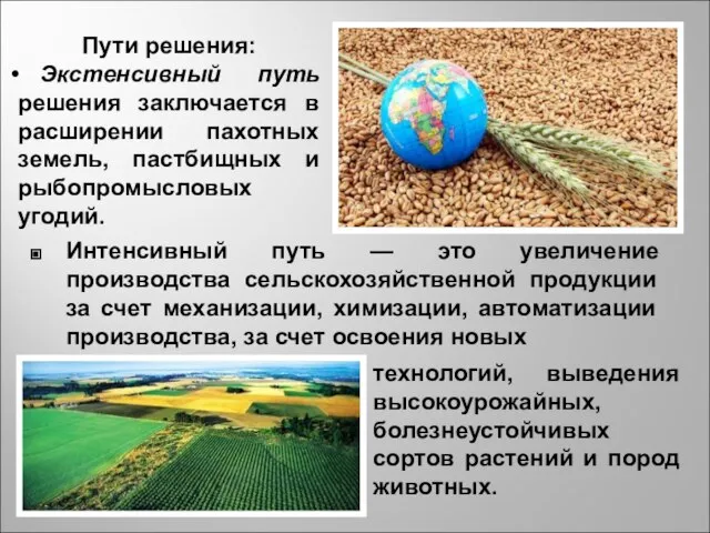 Интенсивный путь — это увеличение производства сельскохозяйственной продукции за счет механизации,