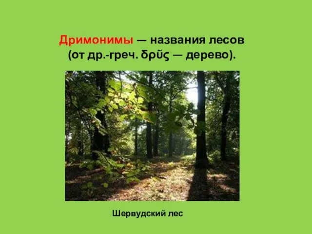 Дримонимы — названия лесов (от др.-греч. δρῦς — дерево). Шервудский лес