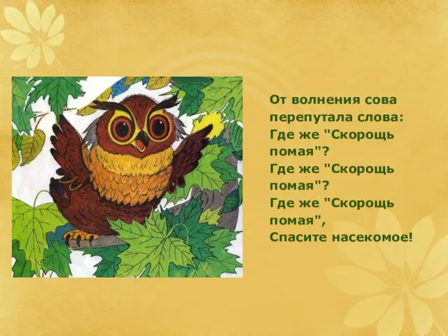 От волнения сова перепутала слова: Где же "Скорощь помая"? Где же