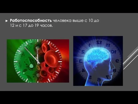 Работоспособность человека выше с 10 до 12 и с 17 до 19 часов.