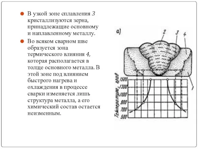 В узкой зоне сплавления 3 кристаллизуются зерна, принадлежащие основному и наплавленному