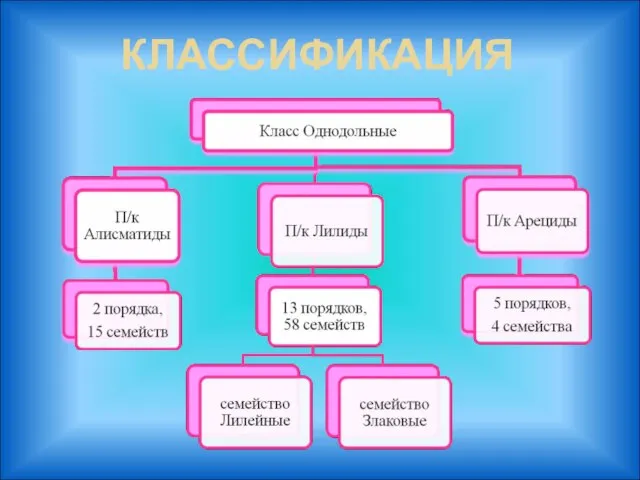 КЛАССИФИКАЦИЯ