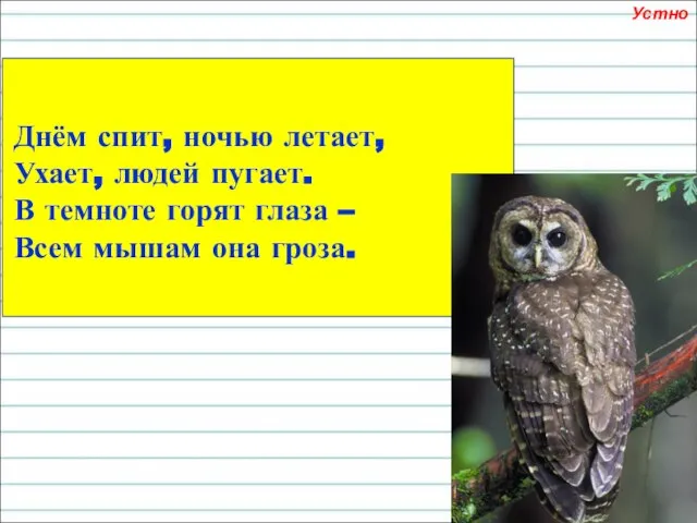 Днём спит, ночью летает, Ухает, людей пугает. В темноте горят глаза