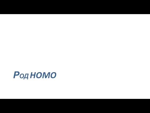 РОД HOMO