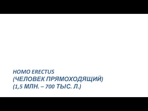 HOMO ERECTUS (ЧЕЛОВЕК ПРЯМОХОДЯЩИЙ) (1,5 МЛН. – 700 ТЫС. Л.)