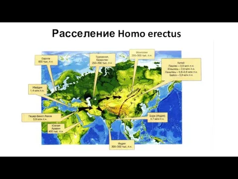 Расселение Homo erectus