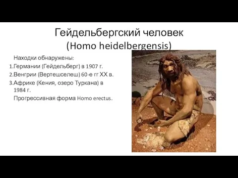 Гейдельбергский человек (Homo heidelbergensis) Находки обнаружены: Германии (Гейдельберг) в 1907 г.