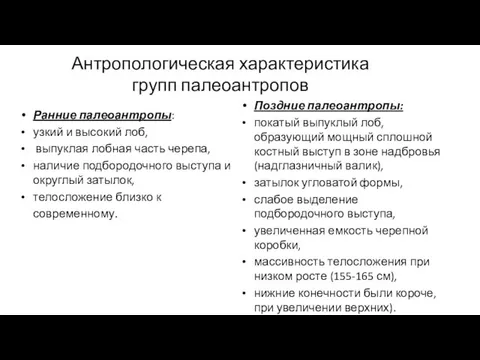 Антропологическая характеристика групп палеоантропов Ранние палеоантропы: узкий и высокий лоб, выпуклая