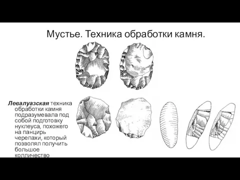 Мустье. Техника обработки камня. Левалуазская техника обработки камня подразумевала под собой