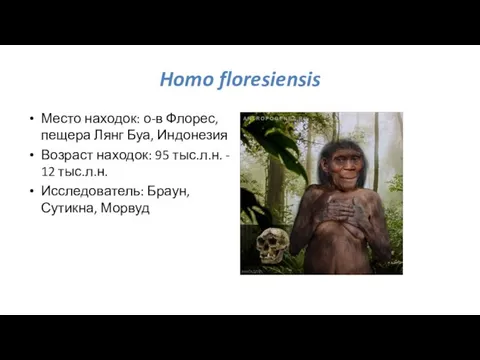 Homo floresiensis Место находок: о-в Флорес, пещера Лянг Буа, Индонезия Возраст