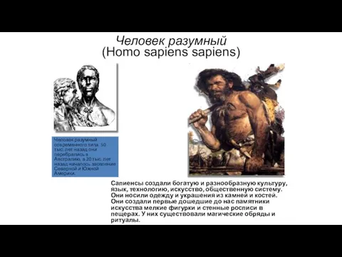 Человек разумный (Homo sapiens sapiens) Сапиенсы создали богатую и разнообразную культуру,