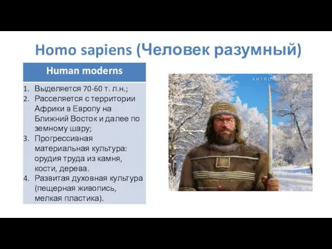 Homo sapiens (Человек разумный)