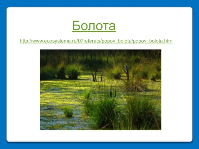 Болота http://www.ecosystema.ru/07referats/popov_bolota/popov_bolota.htm