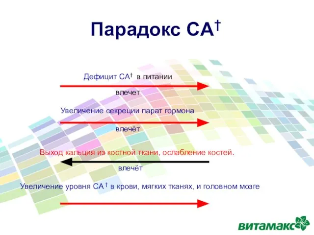 Парадокс CA† Дефицит CA† в питании Увеличение секреции парат гормона Выход